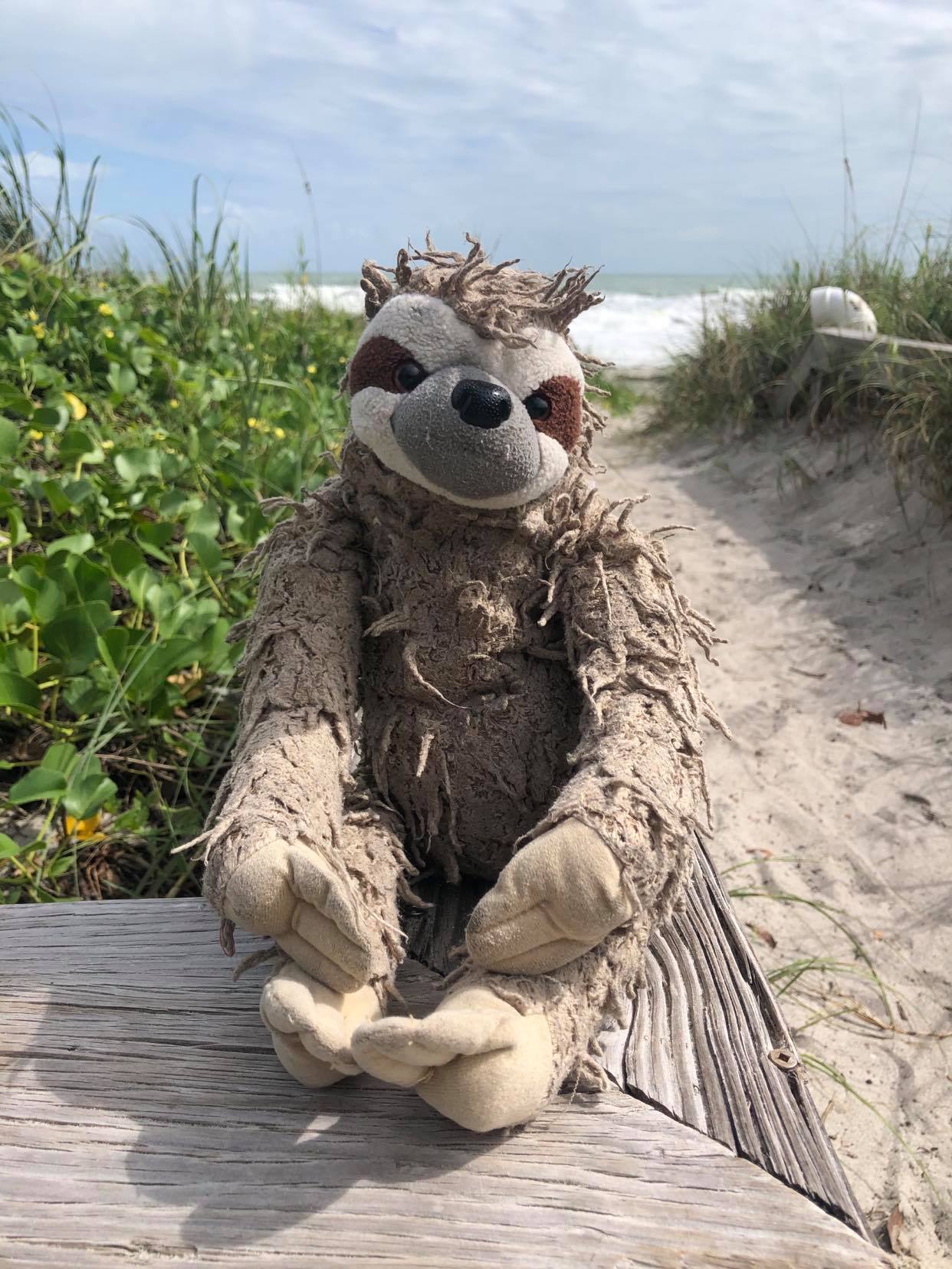 Super Sid Loves Going to the Beach